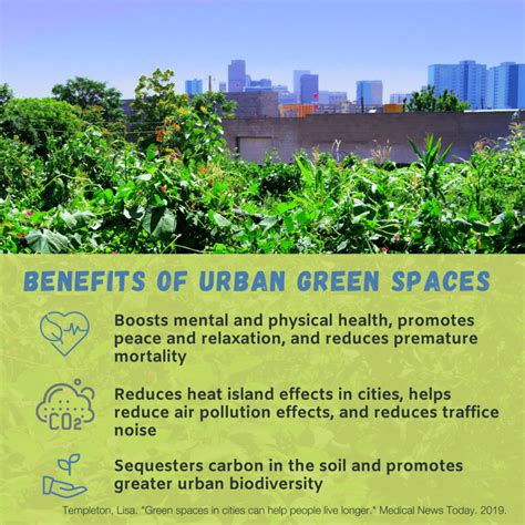 The Importance Of Urban Green Spaces Denver Urban Gardens
