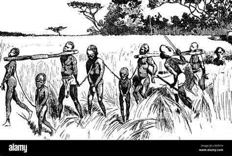 Sklaverei Transport Von Sklaven In Afrika Jahrhundert Historisch