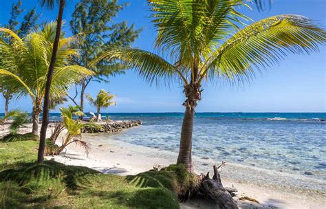 Coral Caye Beautiful And Idyllic Private Island In Belize