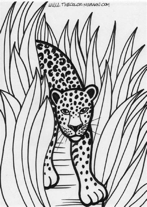 Free Rainforest Coloring Pages Free Coloring Pages
