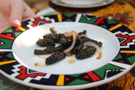 15 Traditional Zimbabwe Foods Everyone Should Try Medmunch