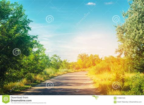 A Country Road With Green Trees And The Blue Sky Near The Forest On A
