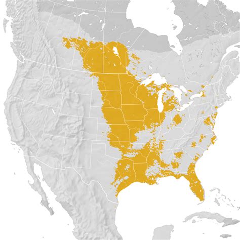 Sedge Wren Range Map Pre Breeding Migration Ebird Status And Trends