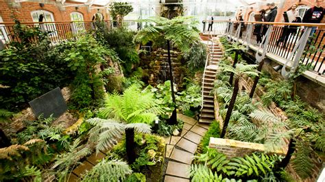 The Tropical Ravine At Botanic Gardens Attractions Visit Belfast