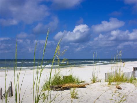 10 Must Have Experiences On Your Trip To Gulf Shores