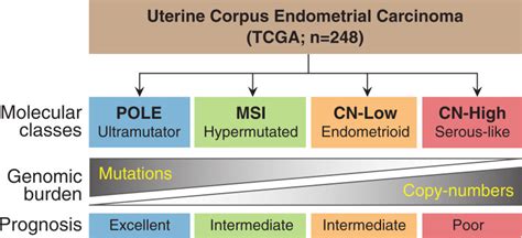 Table From The Tcga Molecular Classification Of Endometrial Cancer My