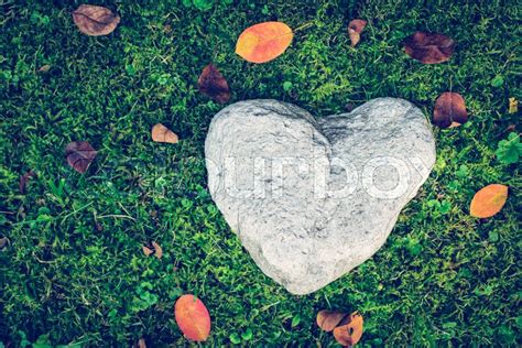 Heart Concept Stone In Heart Shape Is Stock Image Colourbox