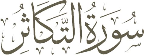 Al Quran 1023 Surah At Takathur Ayah 3 Italian Translation