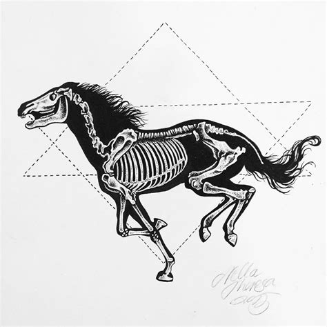 Skeleton Horse By Nellau666 On Deviantart