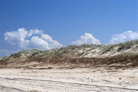 Grassy Sand Dunes With Puffy Clouds In A Bright Blue Sky Stock Image