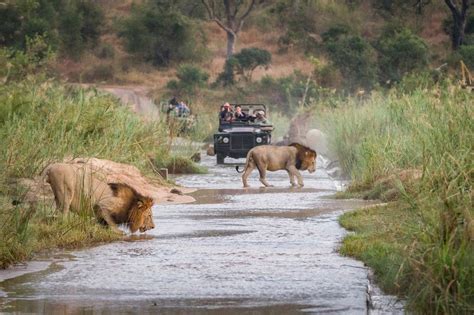 The Top 12 National Parks To Visit In Africa