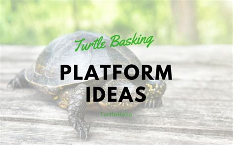 With just a few easy to acquire materials and a few hours of your time, you could have yourself one heck of a cool, inexpensive floating dock! Turtle Basking Platform Ideas | TurtleHolic