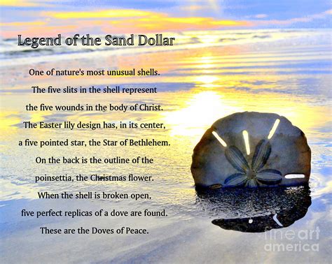 Sand Dollar Legend Printable