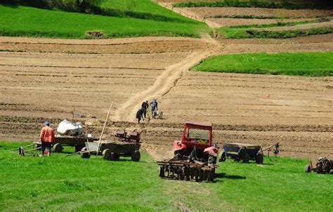 Preţul Terenurilor Agricole Creştere Spectaculoasă Replicaonlinero