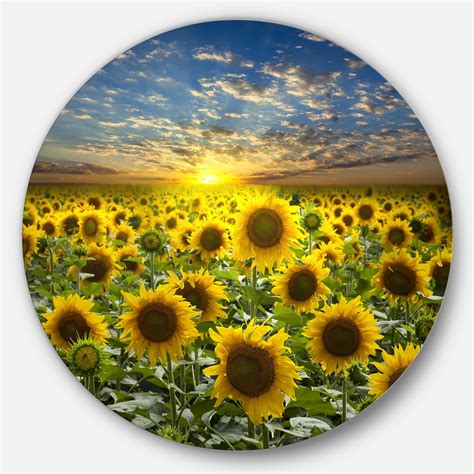 Designart Field Of Blooming Sunflowers Large Flower Metal Circle Wall