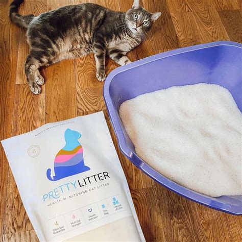 Pretty Litter Review Must Read This Before Buying