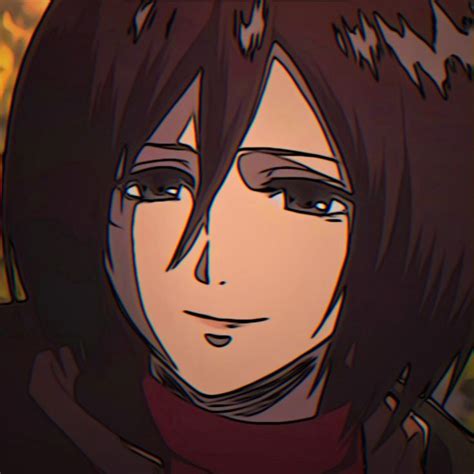 Mikasa Icon Em 2022 Anime