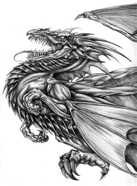 Start to draw his feet, tail, neck, wings, and nose as shown in the picture. 10+ Cool Dragon Drawings for Inspiration | Cool dragon ...