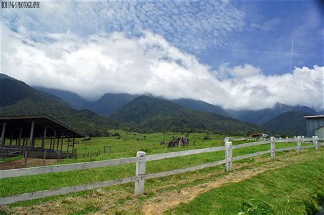 It is one of the subsidiaries of desa group of companies which is wholly owned by the state government of sabah, malaysia. Desa Dairy Farm, Kundasang, Sabah | bob|P-&-S | Flickr