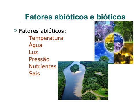 Fatores Bioticos E Abioticos