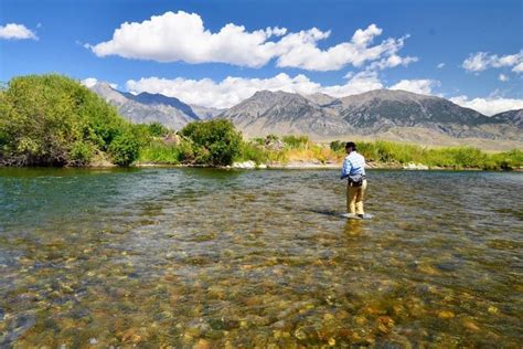 Fly Fishing Northern Idaho Rivers All About Fishing