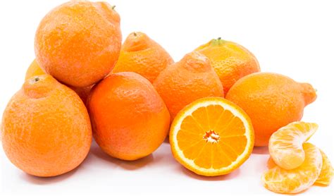 Tangelos Minneola Information And Facts