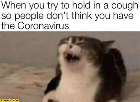 Best Coronavirus Cat Memes Woman Yelling At Cat Meme The Kitty Expert