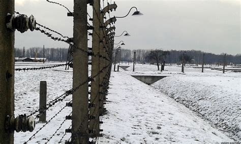 D'altro canto, è inaccettabile che, a 66 anni di distanza dalla liberazione dei prigionieri dal campo di concentramento di auschwitz, una minoranza etnica sia soggetta a discriminazioni su larga scala in tutta l'unione europea. Il Campo di Concentramento di Auschwitz-Birkenau ...