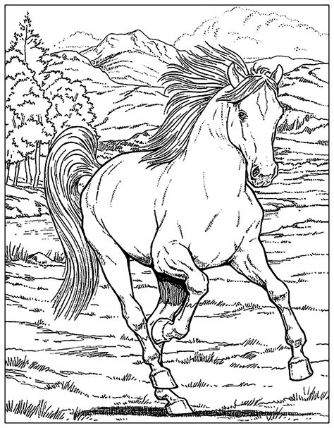 Horses Printable Coloring Pages
