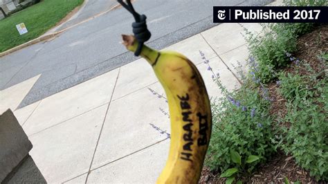 Fbi Helping American University Investigate Bananas Found Hanging From Nooses The New York