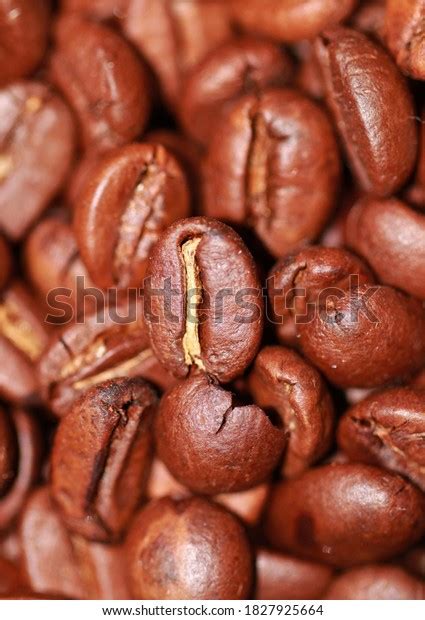 Would You Like Some Coffee Stock Photo 1827925664 Shutterstock