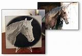 Horse Cremation Services Images