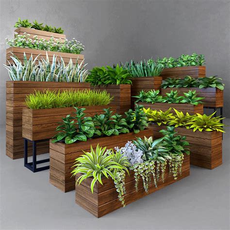 Plant 3d Model Max Obj Fbx Stl Mtl 1 Plants Tropical Garden Design