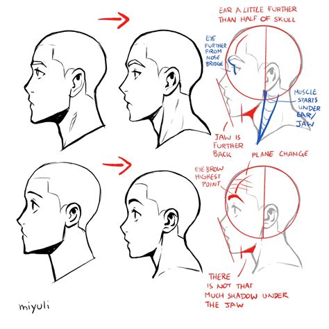 How To Draw A Profile Of A Face Draw Wrt