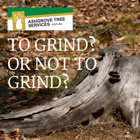 Stump Grinding Ashgrove Tree Services Tree Pruning And Tree Removal