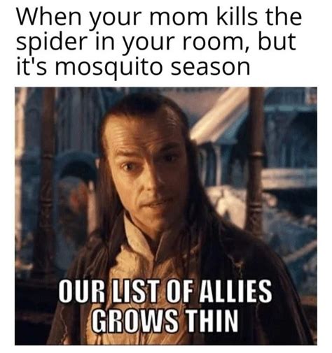 Mosquito Season Meme By Mrgimli Memedroid