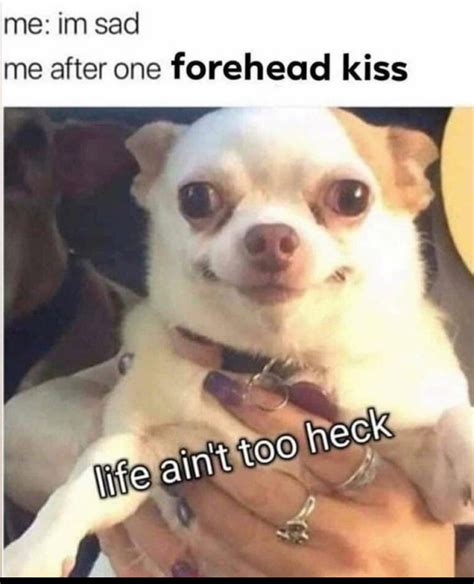 All Comments Get Forehead Kisses Meme By Xrockinzombiex Memedroid