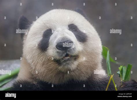 L11879 hi-res stock photography and images - Alamy