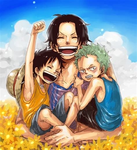 Ace Zoro Luffy Roronoa Zoro Photo 41434254 Fanpop