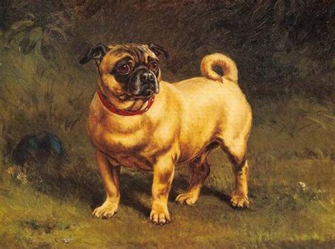 Pin On Pugs History And Art