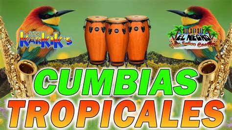 Cumbias Tropicales 💃acapulco Tropicaltropical Panamafito Olivares 🌴🍹