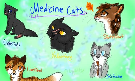 Colors Live Warriors Medicine Cats By Midnight174