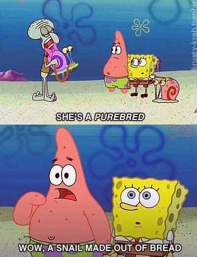 The Great Snail Race Spongebob Funny Funny Spongebob Memes