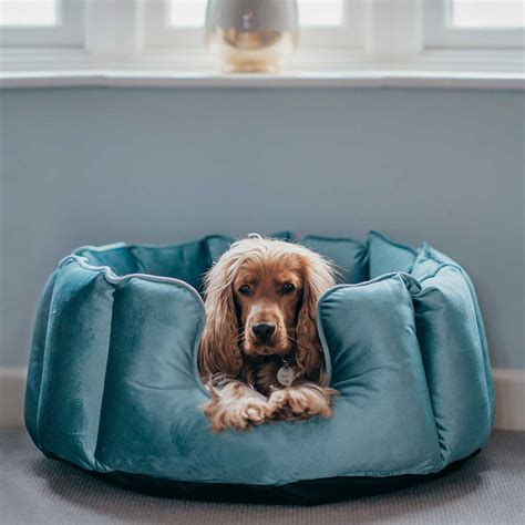 High Sided Dog Beds Calming High Walled Dog Beds Lords And Labradors
