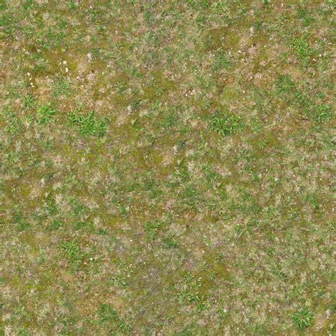 Grass Seamless Soil Texture Grass Textures
