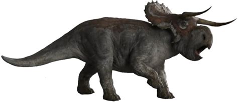 Jurassic World Female Nasutoceratops By Tsilvadino On Deviantart