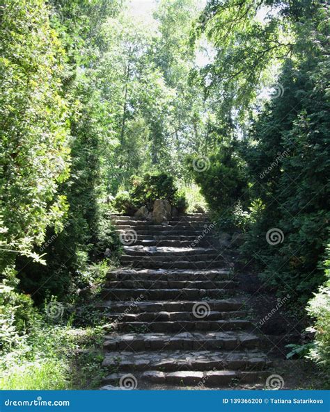 Old Stone Stair Case In The Forest Stock Photo Image Of Garden Block