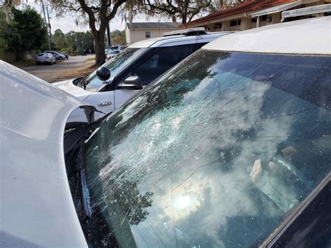 bat wielding suspect smashes up sheriff s office vehicles wndb news daytona beach