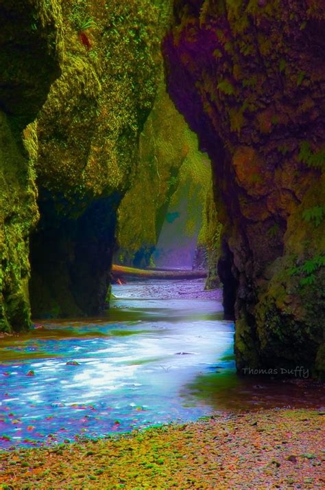 Oneonta Gorge Oregon Usa Beautiful Nature Beautiful