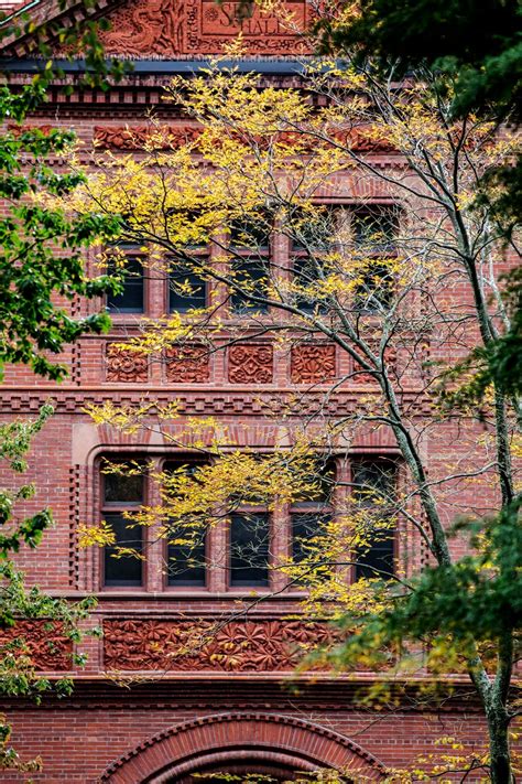Capturing autumn's beauty on Harvard's historic campus - Harvard Gazette